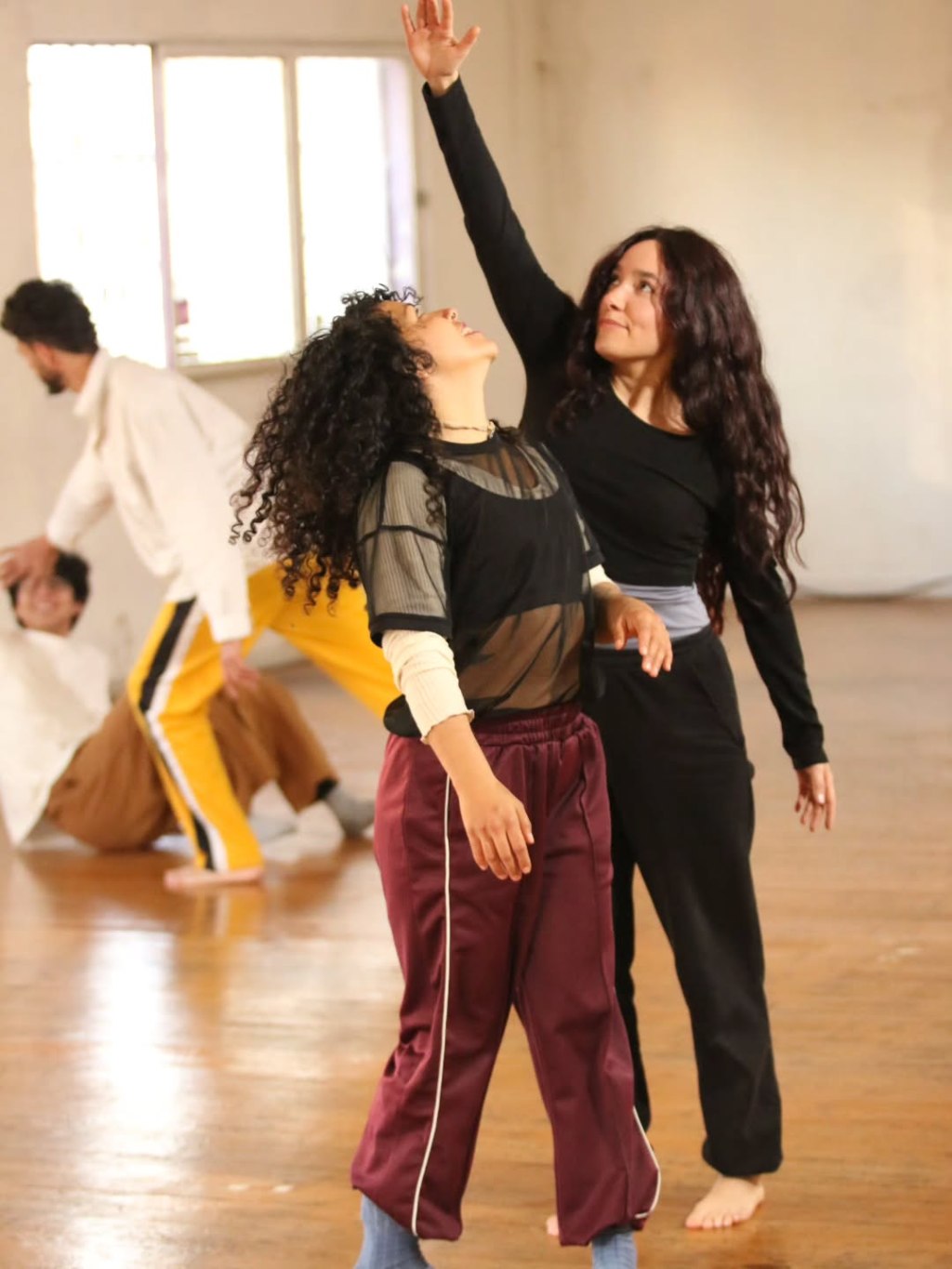 Registro Ciclo de Prácticas de Contacto Improvisación y&nbsp;Afines.